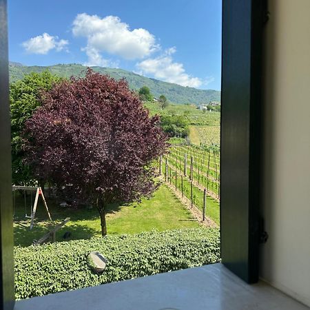 Casa Vacanze Ricca Vigna Valdobbiadene Exterior foto